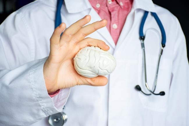 רופא מחזיק דגם של מוח, מדמה חקר של דמנציות שונות בהן גם דמנציה התהגותית